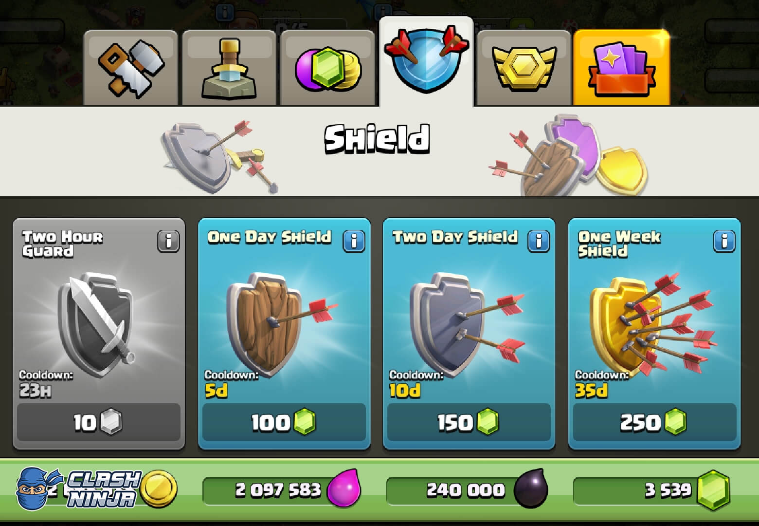 Guard and Shield in the shop